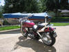 IMG_0862 (Large).jpg (161601 bytes)